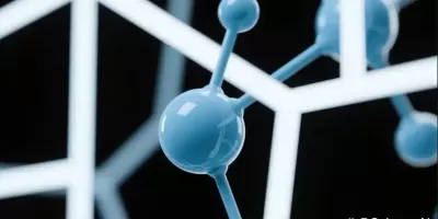 上交大KinFormer生成式符号回归模型发现未知化学反应动力学机制