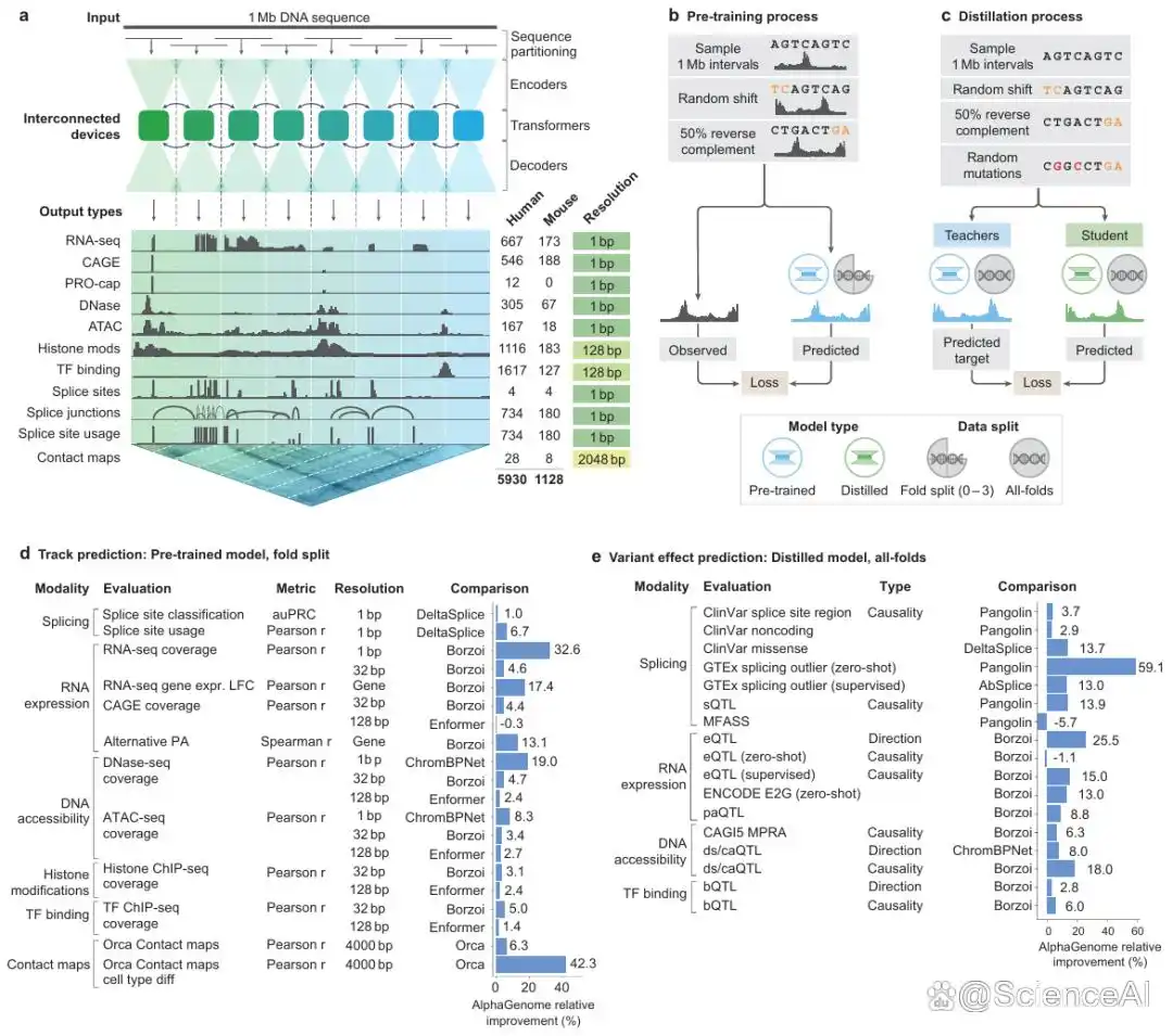 谷歌DeepMind发布DNA序列模型AlphaGenome，可分析1兆碱基__谷歌DeepMind发布DNA序列模型AlphaGenome，可分析1兆碱基