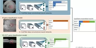 83.9%精准度，专家级AI模型Eye2Gene实现遗传性眼病基因诊断