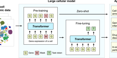 万字长文，腾讯、清华等多位生物大模型作者专访，畅谈AI生物学，解析大型细胞模型技术