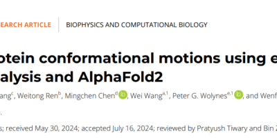 准确预测蛋白质「运动」？AlphaFold融合物理知识，南京大学团队蛋白构象运动新策略