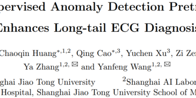 突破传统：AI如何应对心电图中的长尾挑战？