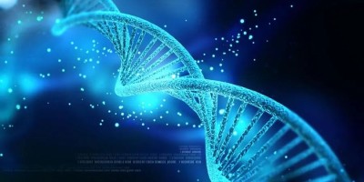 中国科学院团队发布GeneCompass：解析基因调控密码，打造干湿融合新范式