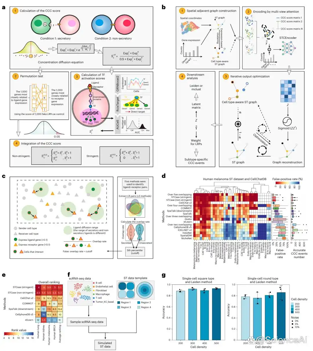 Nature子刊，北大团队多视图GNN进行基于生态位的细胞间通信研究__Nature子刊，北大团队多视图GNN进行基于生态位的细胞间通信研究