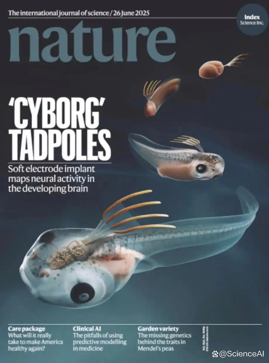 脊椎动物胚胎实现生物电子器件整合，哈佛大学登《Nature》封面__脊椎动物胚胎实现生物电子器件整合，哈佛大学登《Nature》封面